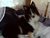 photos 2000-200902853
